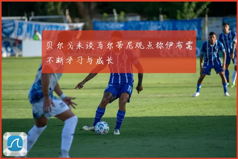 贝尔戈米谈马尔蒂尼观点称伊布需不断学习与成长