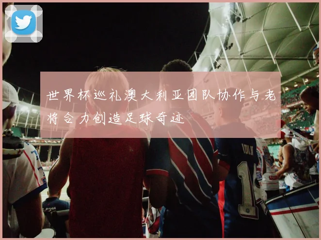 世界杯巡礼澳大利亚团队协作与老将合力创造足球奇迹