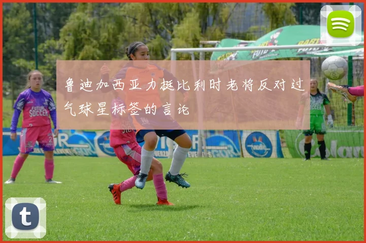 鲁迪加西亚力挺比利时老将反对过气球星标签的言论
